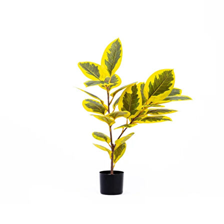 Reyo Ficus Altissima Gerçek Dokulu Yapay Ağaçı Sarı Yeşil 90 cm