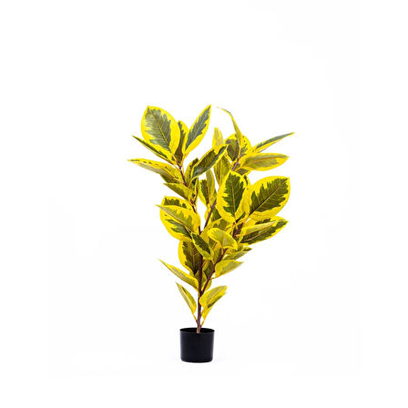 Reyo 120 cm Ficus Altissima Gerçek Dokulu Yapay Ağaç Sarı Yeşil 