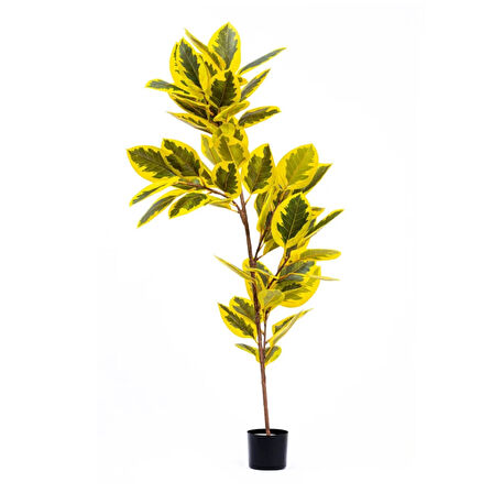 Reyo 170 cm Ficus Altissima Gerçek Dokulu Yapay Ağaç Gerçek Dokulu Sarı Yeşil 