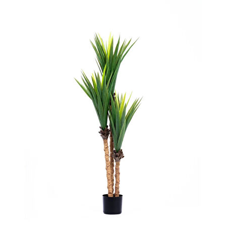 Reyo 150cm Yucca Yapay Ağaç Gerçek Dokulu Yeşil 