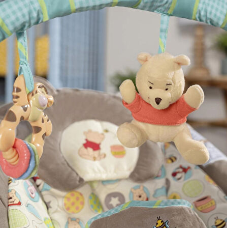 Bright Starts Winnie the Pooh Dots & Hunny Pots Sallanan Bebek Titreşimli Bebek Koltuğu