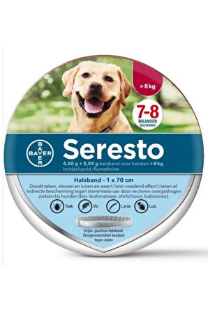 Seresto Pire-Kene Tasması 70cm >8 Kg Orta-Büyük Irk Köpekler için