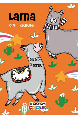 Karatay Yayınları 4E Cep Aktivite Kitabı 5 Kitap 12X17Cm