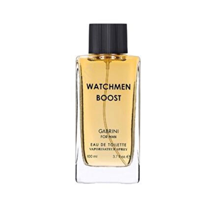 Gabrini Watchmen Boost 100 Ml