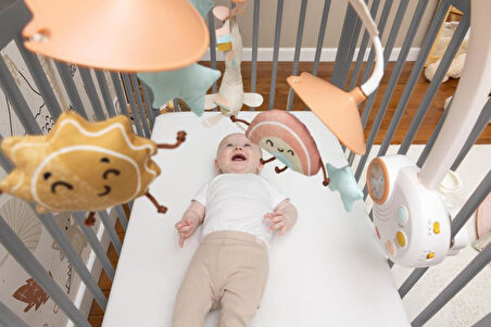 Tiny Love Müzikli Puset ve Beşik Oyuncağı Unicorn