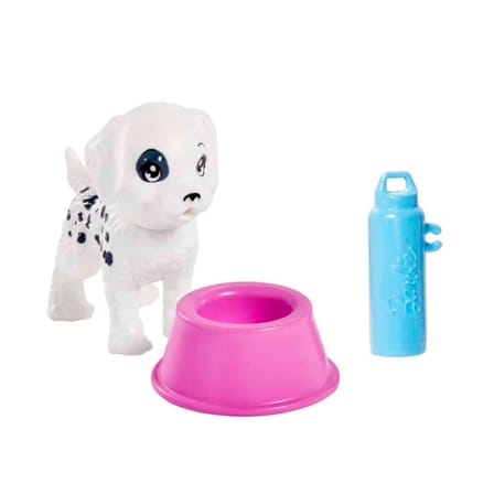 Mattel Oyuncak Barbie Köpek Bakıcısı Hkd77