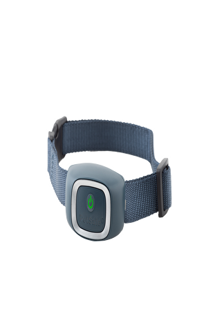 PETSAFE STATİK HAVLAMA ÖNLEYİCİ TASMA