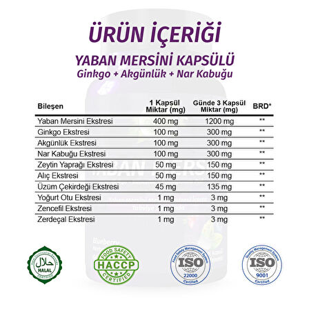 Yaban Mersini Kapsül (Blueberry Capsule)