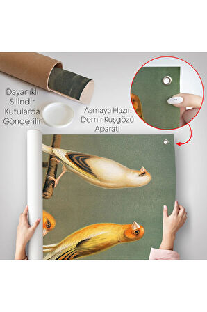 Blakston - Sarı Saka Kuşu ve Kanarya Duvar Örtüsü-7311