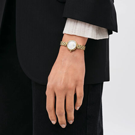 Daniel Wellington DW00600715 Çelik Kadın Kol Saati