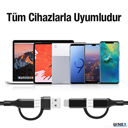 Winex 100W 4in1 Type-C - USB - Lightning - Type-C Çıkışlı Hızlı Data ve Şarj Kablosu Siyah