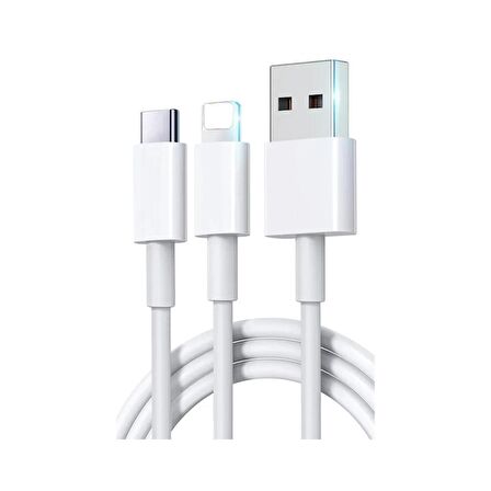 Winex 2in1 5A 120W UsbA to Type-C ve Lightning Hızlı Data ve Şarj Kablosu 120cm