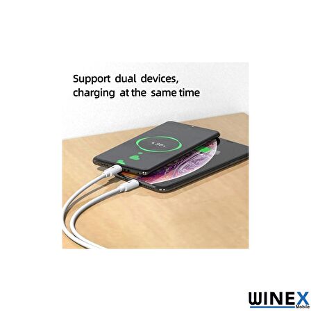 Winex 2in1 5A 120W Type-C to Type-C ve Lightning Hızlı Data ve Şarj Kablosu 120cm