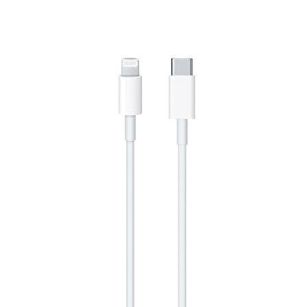 Oem TA800 Lightning - Type-C 25 Watt Hızlı Şarj Aleti Beyaz