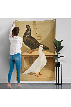 Gustav Prütz - Sevimli İtalyan Güvercinleri Duvar Örtüsü-7320