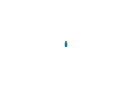 Wildo Explorer Bottle Karabinalı Su Matarası 4203