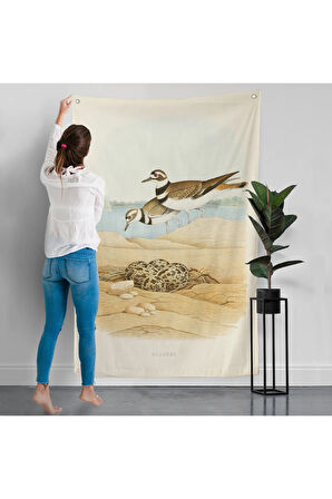 Edwin L. Sheppard - Öldürücü Duvar Örtüsü - Killdeer-7338