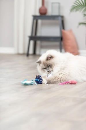 6'lı Set Okyanus hayvan serisi kedi otlu oyuncaklar - hışırtılı - kedi otlu