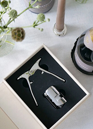 Printworks Servis Gereçleri THE ESSENTİALS -ŞAMPANYA SETİ