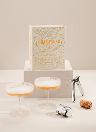 Printworks Servis Gereçleri THE ESSENTİALS -ŞAMPANYA SETİ