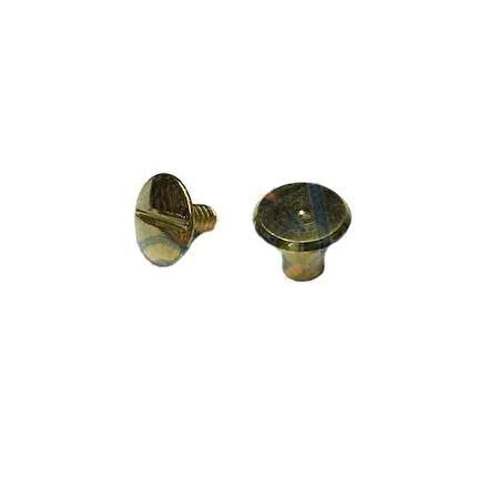 Cilt Menü, Katalog, Kartela Vidası, 6 Mm - Sarı, 100 Adet