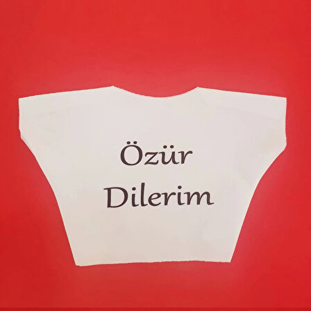 Özür Dilerim Yazılı Peluş Oyuncak Ayı Tişörtü