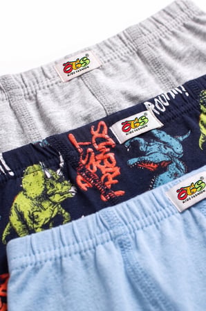 Öts Erkek Çocuk 3’lü Pamuklu Boxer Baskılı Ergonomik Tasarım (7367-3)
