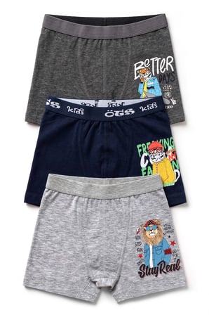 Öts Erkek Çocuk 3’lü Pamuklu Boxer Baskılı Günlük Klasik Model (7386-3)