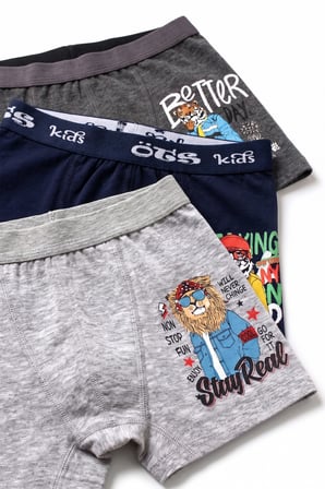 Öts Erkek Çocuk 3’lü Pamuklu Boxer Baskılı Günlük Klasik Model (7386-3)