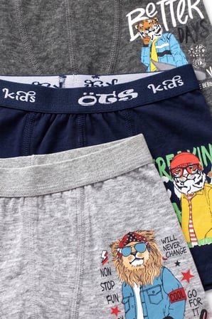 Öts Erkek Çocuk 3’lü Pamuklu Boxer Baskılı Günlük Klasik Model (7386-3)