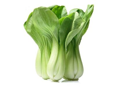 WHITE PAK CHOI *100+ ADET TOHUM