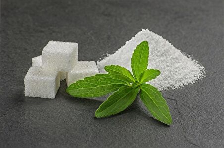 Stevia şeker otu tohumu