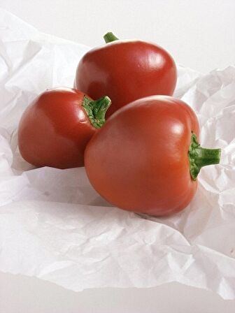 Kiraz Cherry Biber Tohumu