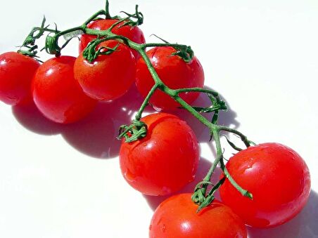 DELICIOUS SALKIM CHERRY DOMATES 25 TOHUM