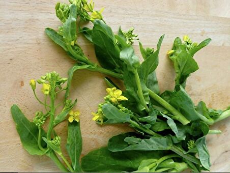 ÇİÇEKLİ PAK CHOI* 100+ ADET TOHUM