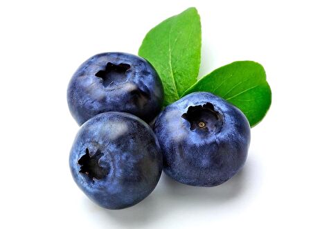 BLUEBERRY YABAN MERSİNİ TOHUMU 25+ TOHUM