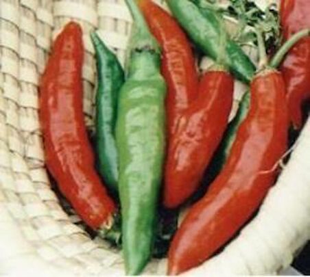 MYANMAR BİBERİ* (wiang ping pepper)