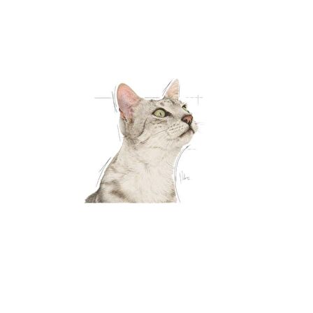Royal Canin Sensory Koku Duyusu için Sos İçerisinde Yaş Kedi Maması 85g
