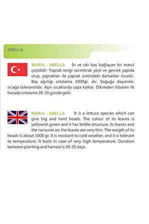 Profesyonel Tip Marul Abella 1000 Ad Tohum