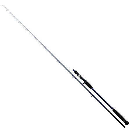 Daiwa Exceler Oceano 198 cm MAX 250 gr Tetikli Jig Kamış