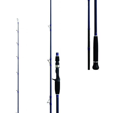 Daiwa Exceler Oceano 198 cm MAX 250 gr Tetikli Jig Kamış