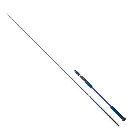 Daiwa Legalis Oceano 193 cm MAX 180 gr Tetikli Slow Jig Kamış