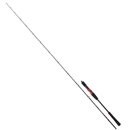 Daiwa Powermesh 191 cm 100-300 gr Tetikli Jig Kamış