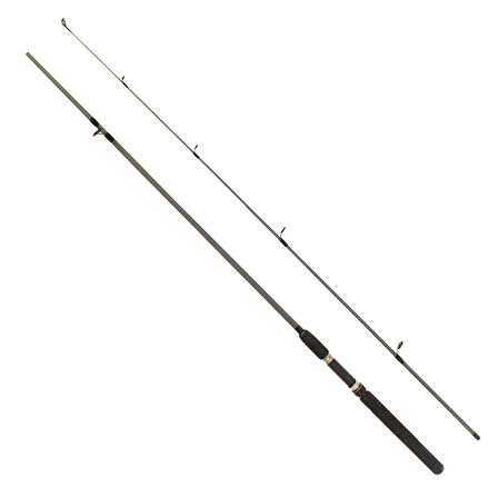 Remixon Flex Spin Kamış 165cm