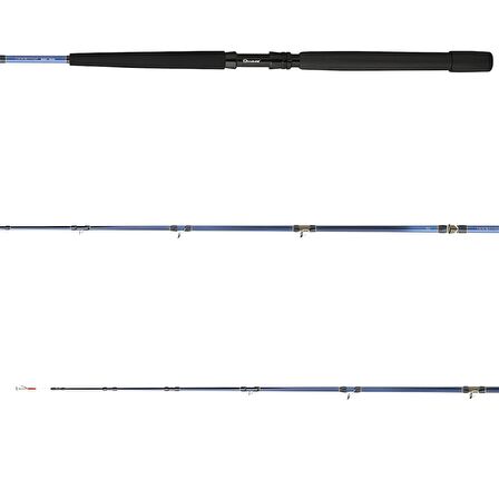 Daiwa Tanacom 200 cm 250-1000 gr Bot Kamış