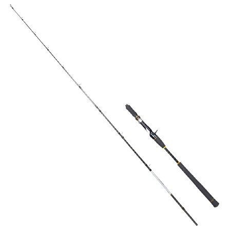 Ryuji Seawolf 198 cm 30-150 gr Tetikli Jig Kamış