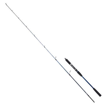 Ryuji Strobe 198 cm 20-80 gr Jig Kamış