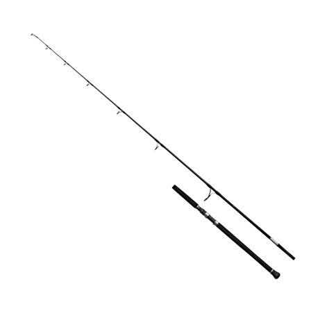 Shimano Grappler Type C 25 249 cm Max 160 gr Jig Kamış