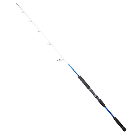 Ryuji Big Game Fuji 159 cm Max 350 gr Jig Kamış