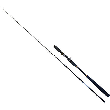 Ryuji Seawolf 180 cm 400-800 gr Tetikli Jig Kamış